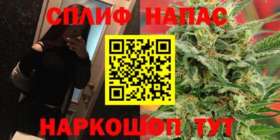 гашиш Сланцы