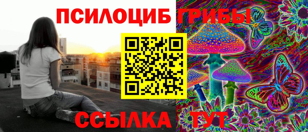 Павлово  Галлюциногенные грибы MAGIC MUSHROOMS  Псилоцибиновые грибы Psilocybine cubensis  Вход с VPN 